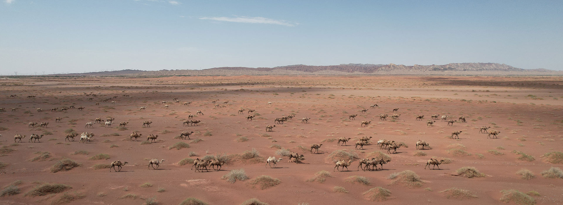 8188www威尼斯-8188www威尼斯正式版下载V4.6.7